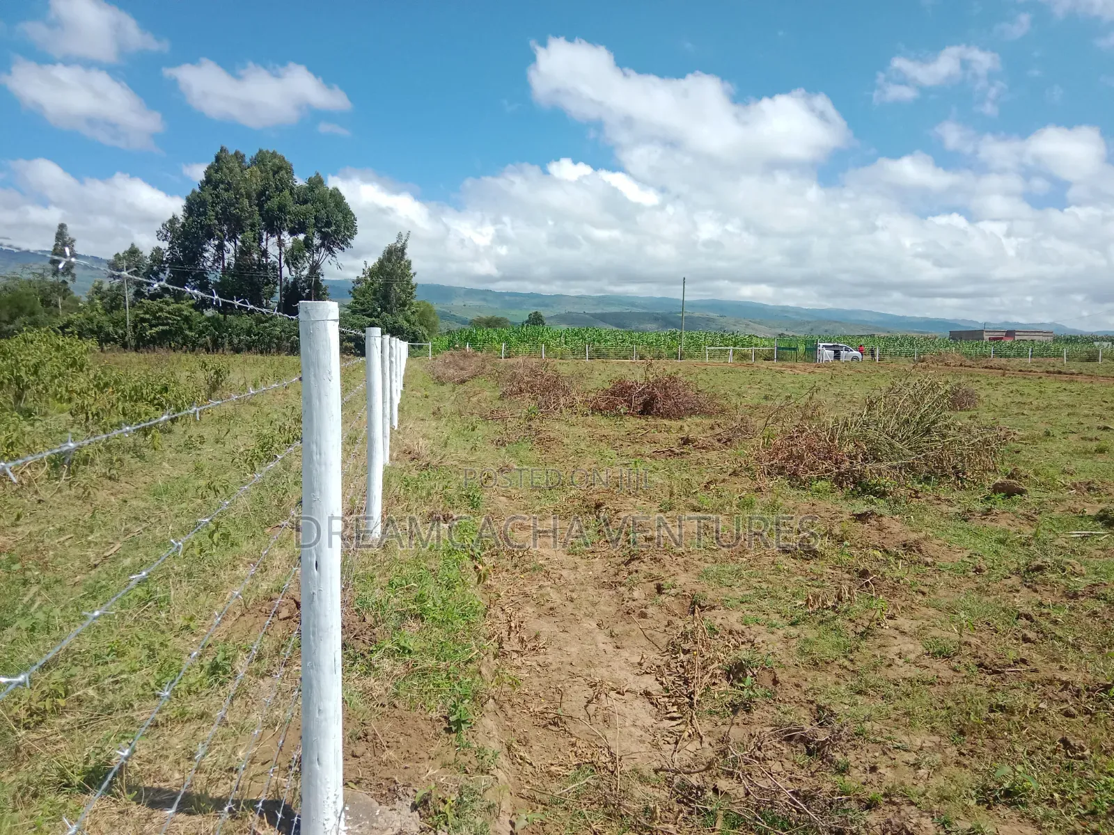 Residential Plots