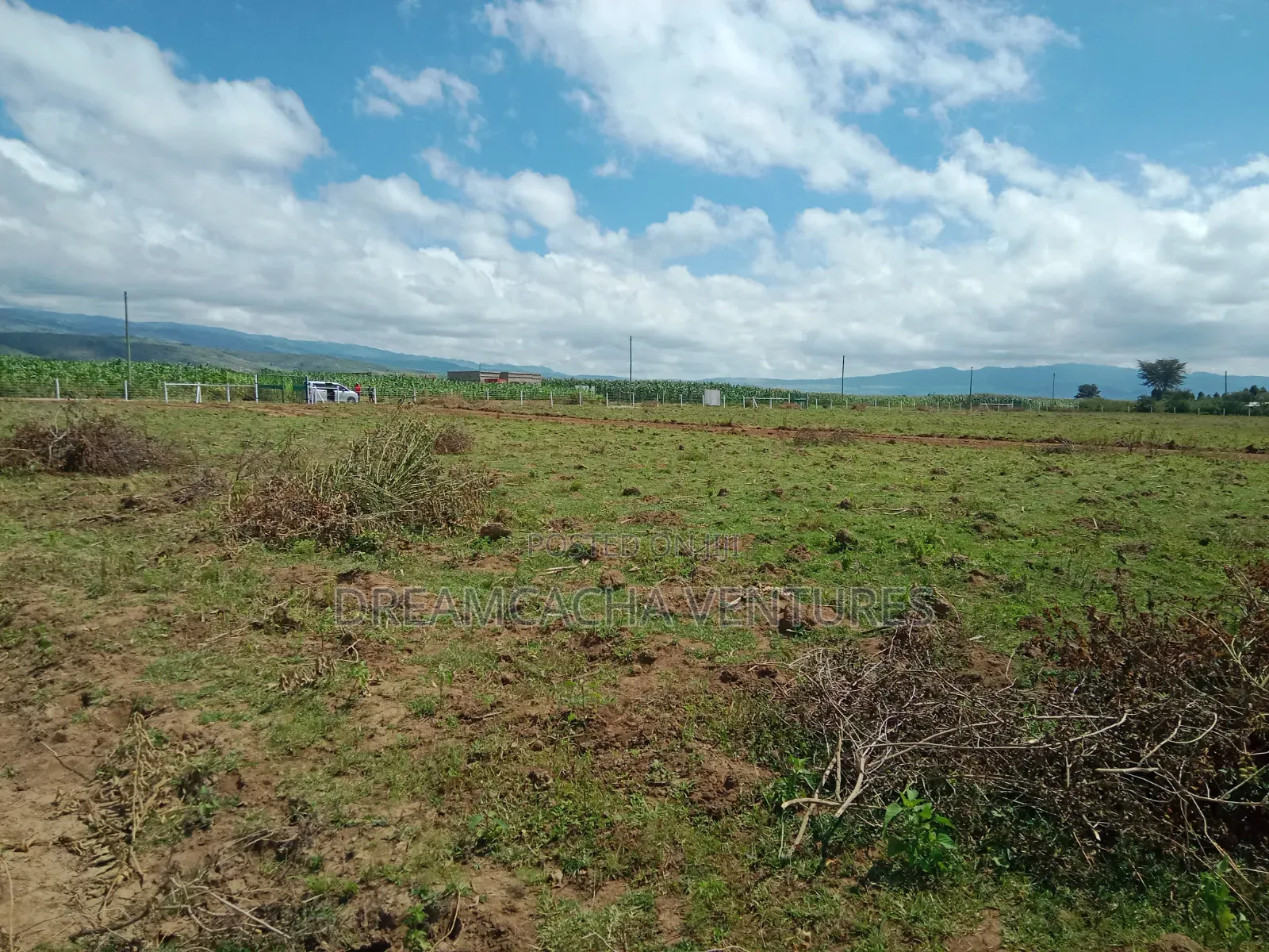 Residential Plots