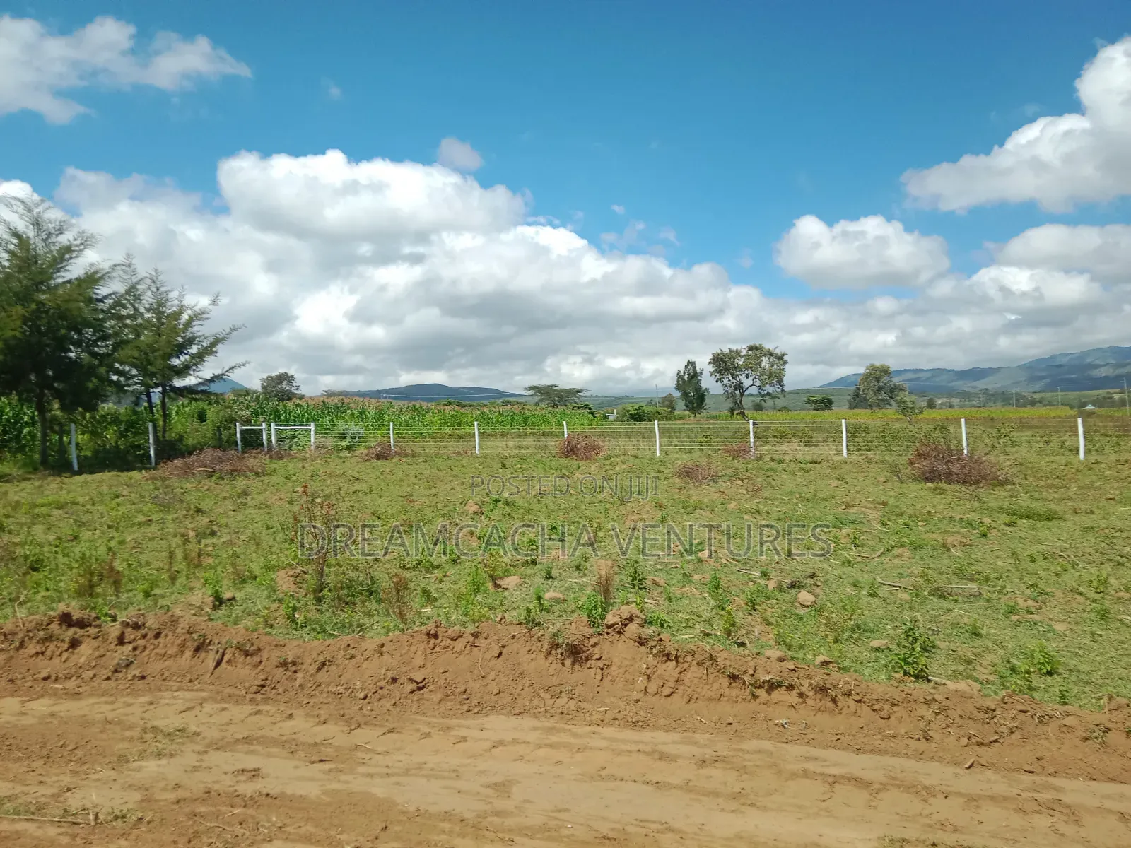 Residential Plots