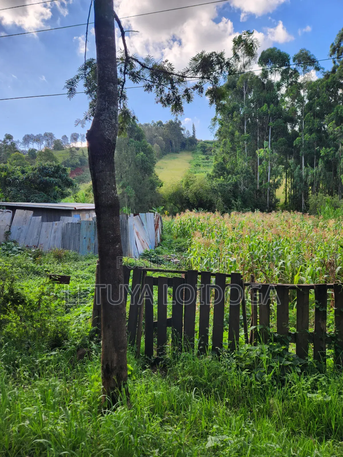 1⁄4 Acre Ngong-Matasia (Silanga Road)