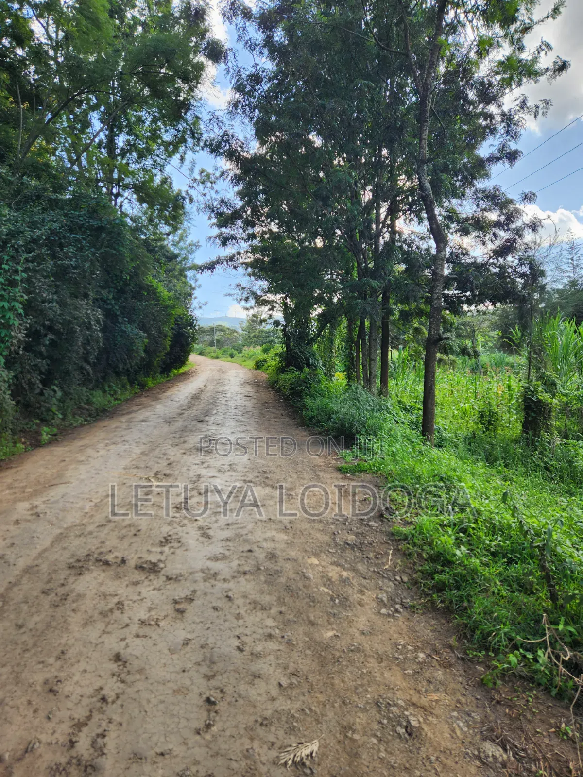 1⁄4 Acre Ngong-Matasia (Silanga Road)