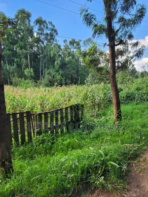 1⁄4 Acre Ngong-Matasia (Silanga Road)