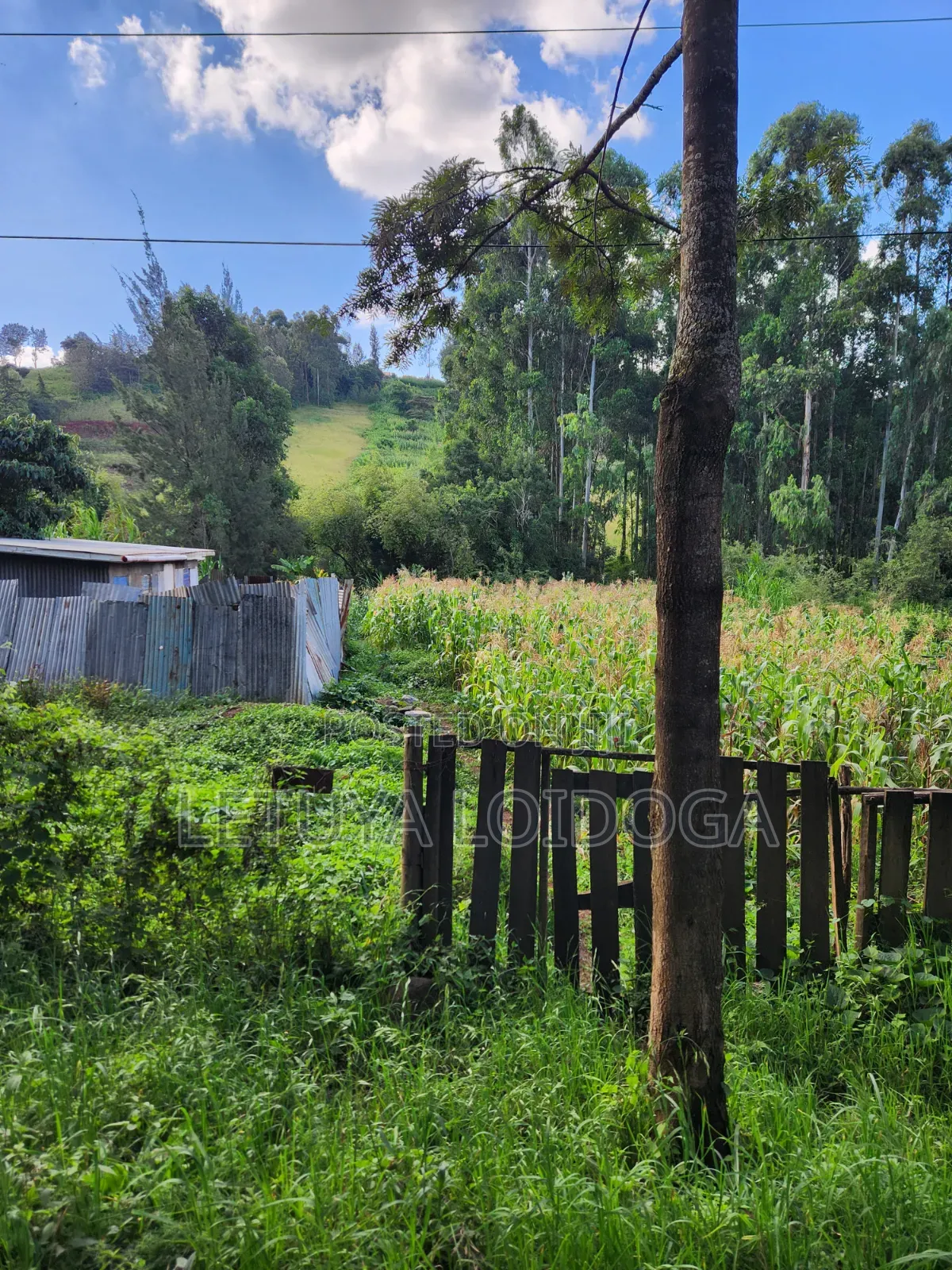 1⁄4 Acre Ngong-Matasia (Silanga Road)
