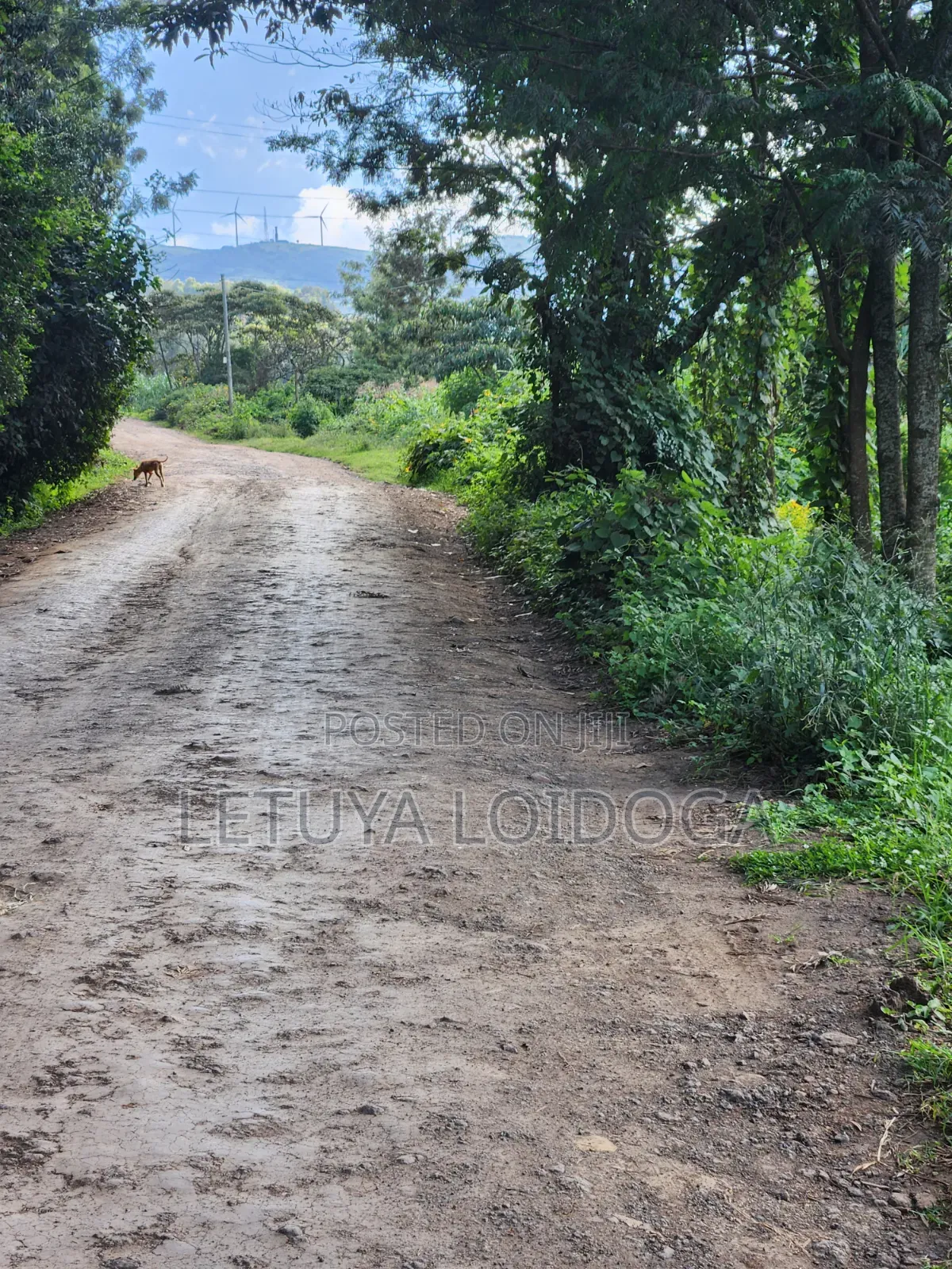 1⁄4 Acre Ngong-Matasia (Silanga Road)