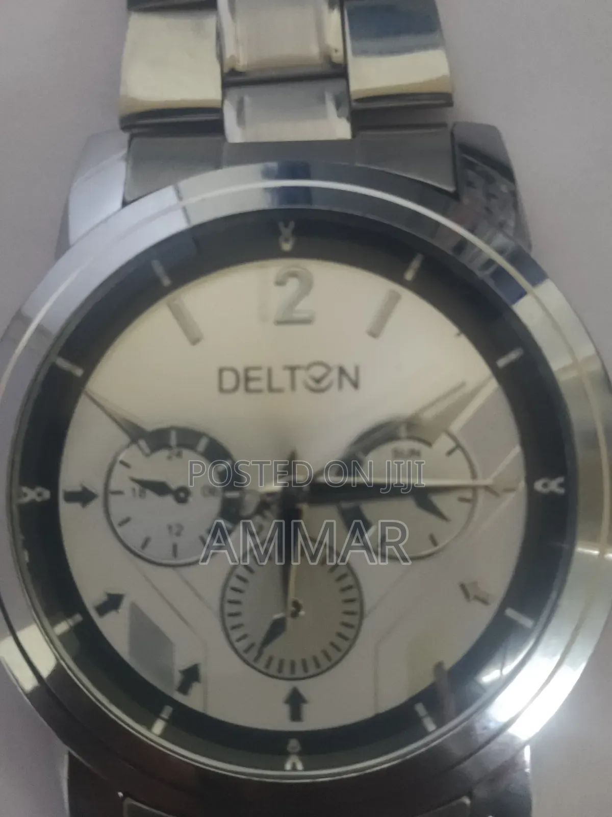 Delton Watch