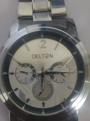 Delton Watch