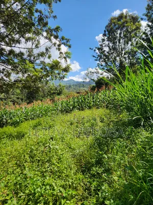 1⁄8 Acre Ngong-Matasia (Ole Mutel Road)