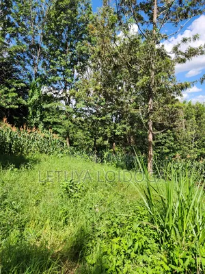 1⁄8 Acre Ngong-Matasia (Ole Mutel Road)