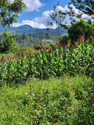 1⁄8 Acre Ngong-Matasia (Ole Mutel Road)