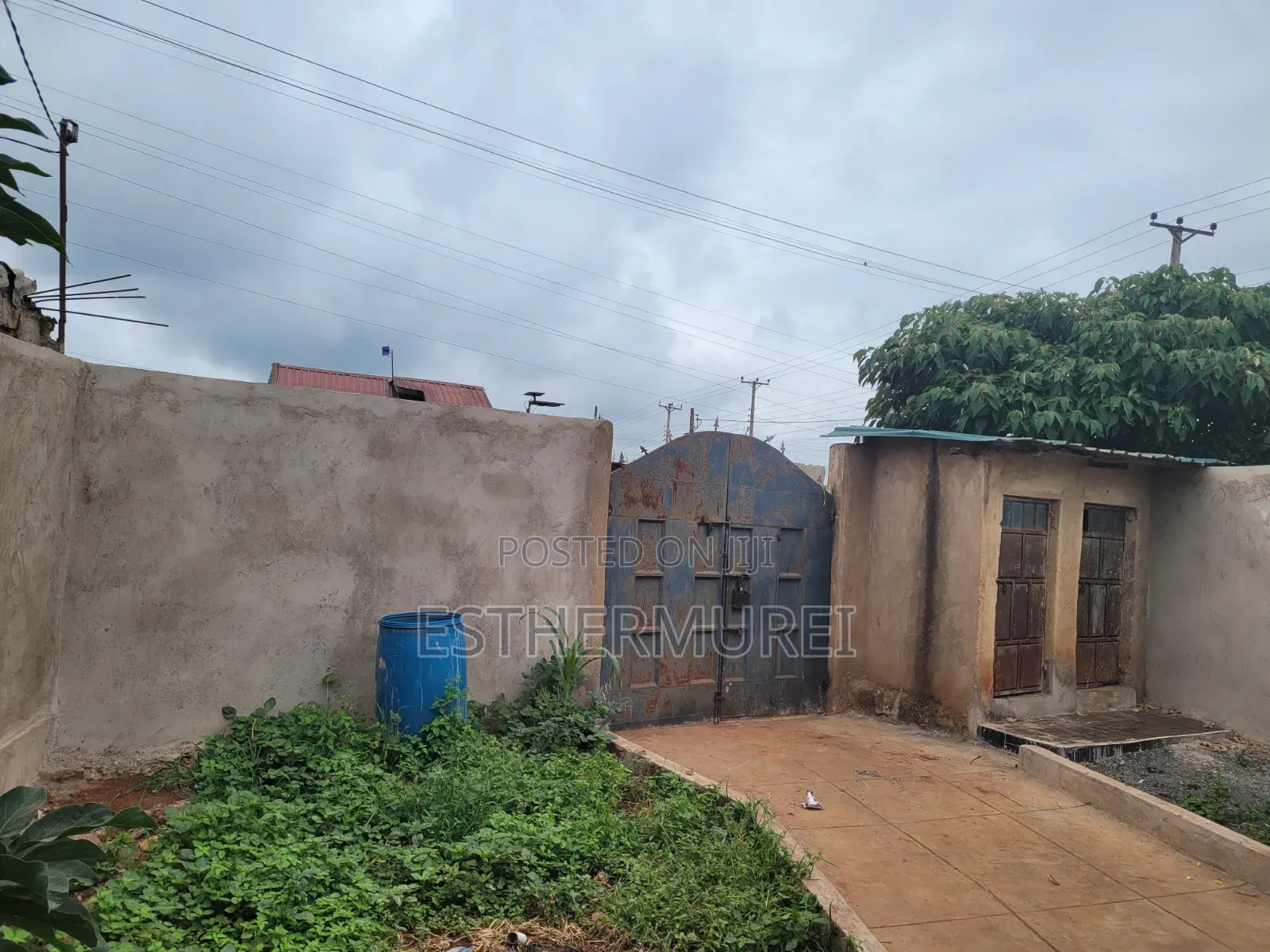 2bdrm Bungalow in Ndarugu for rent