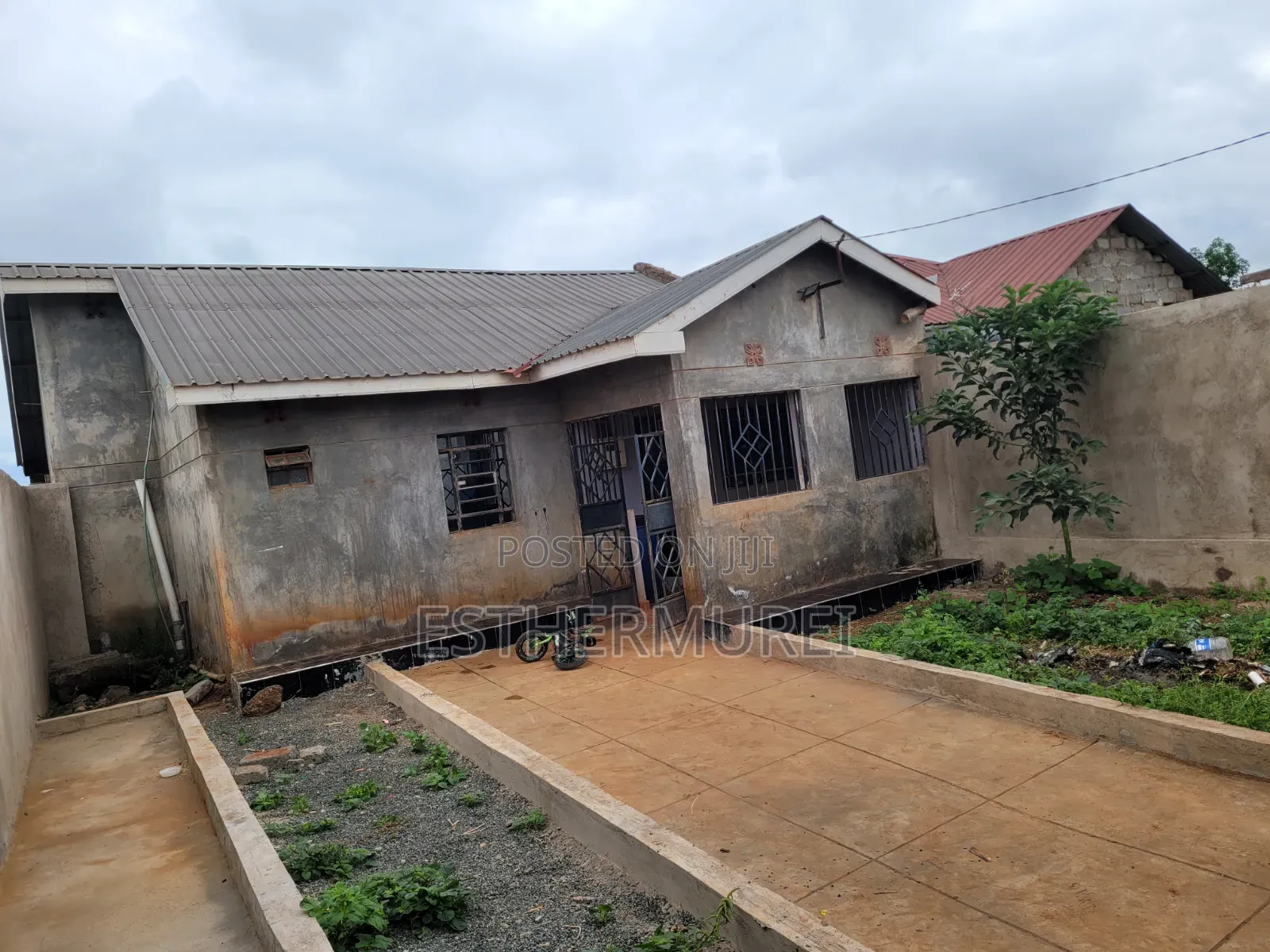 2bdrm Bungalow in Ndarugu for rent