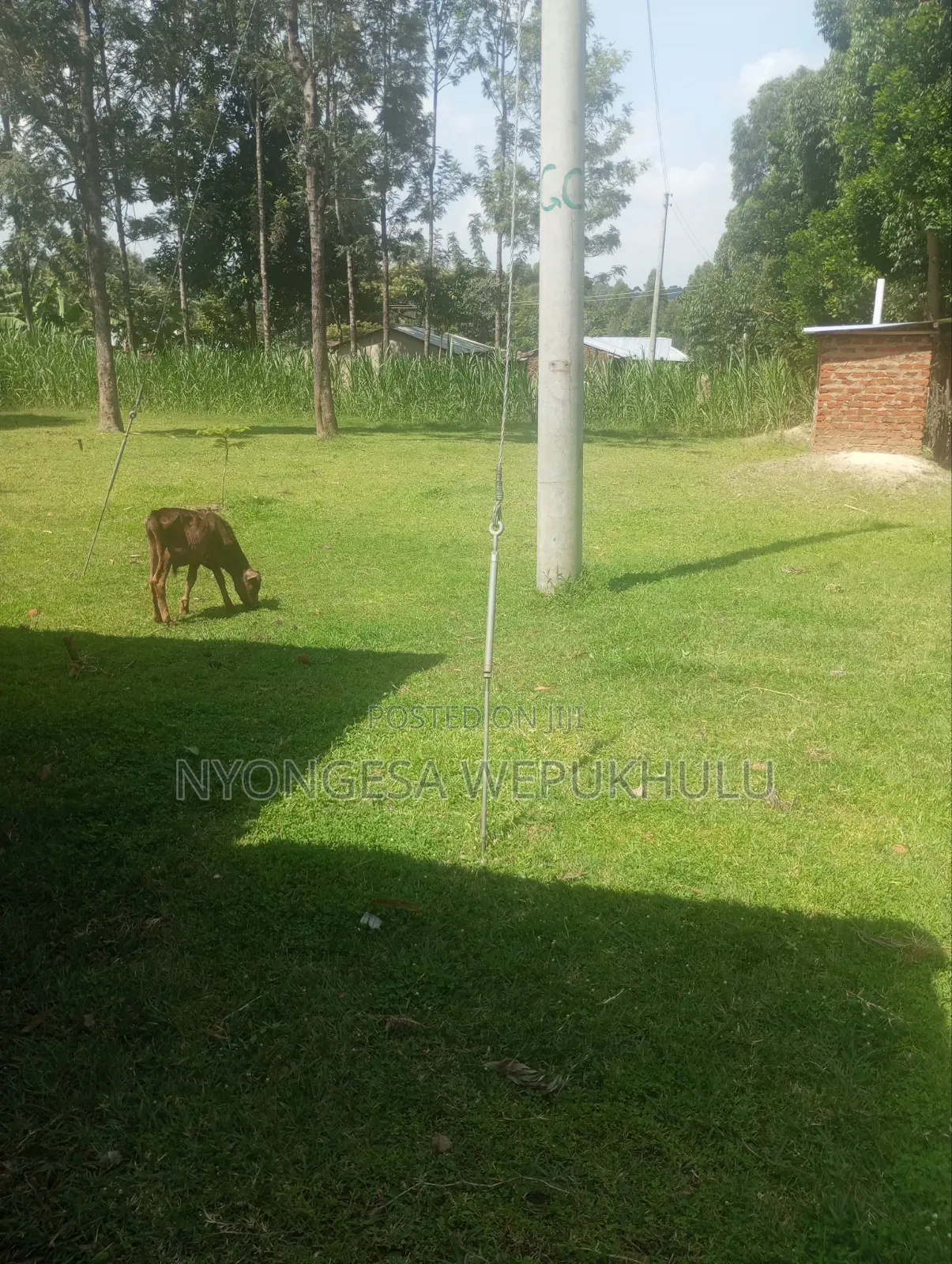 3bdrm House in Kimilili/ Bituyu for sale