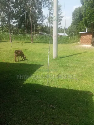 3bdrm House in Kimilili/ Bituyu for sale