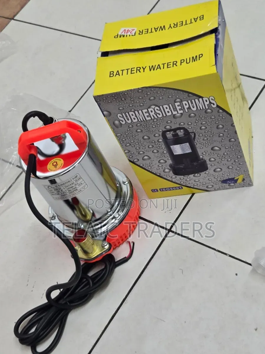 24v Dc Battery Submersible Pump
16m Head 
4.0m Cubic
