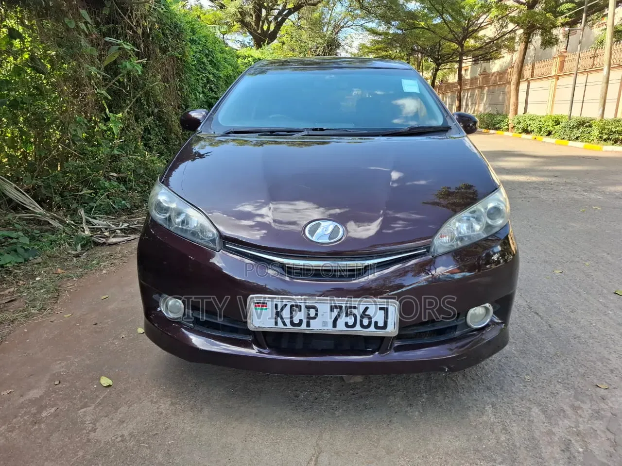 Toyota Wish 2010 Purple