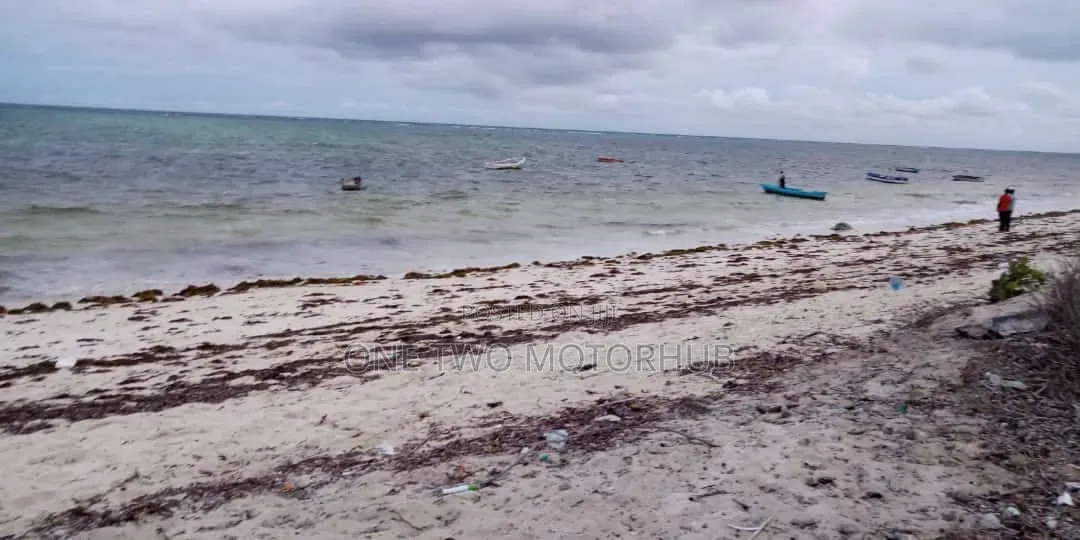 20-Acre Prime Beachfront Land for Sale – Kikambala