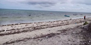 20-Acre Prime Beachfront Land for Sale – Kikambala