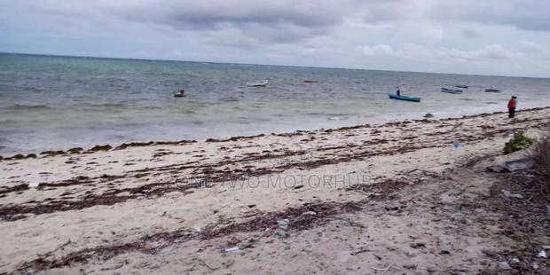 20-Acre Prime Beachfront Land for Sale – Kikambala - thumbnail 3