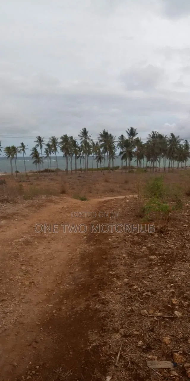 20-Acre Prime Beachfront Land for Sale – Kikambala