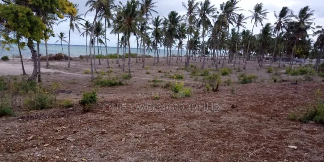 20-Acre Prime Beachfront Land for Sale – Kikambala