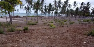 20-Acre Prime Beachfront Land for Sale – Kikambala