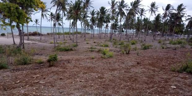 20-Acre Prime Beachfront Land for Sale – Kikambala - thumbnail 2