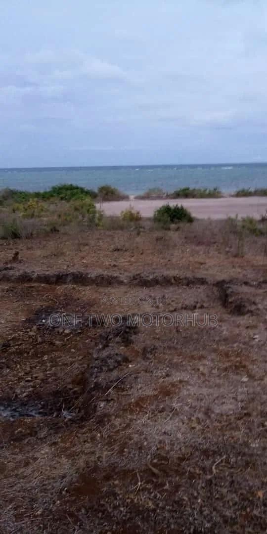 20-Acre Prime Beachfront Land for Sale – Kikambala - thumbnail 4