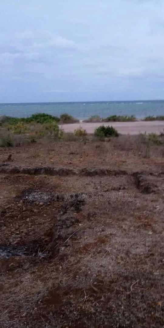 20-Acre Prime Beachfront Land for Sale – Kikambala
