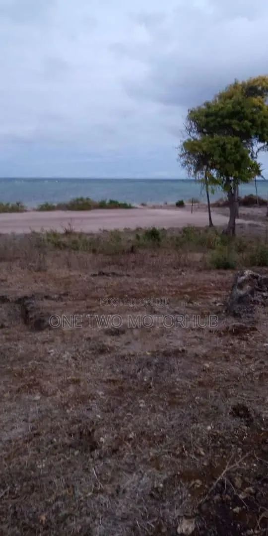 20-Acre Prime Beachfront Land for Sale – Kikambala