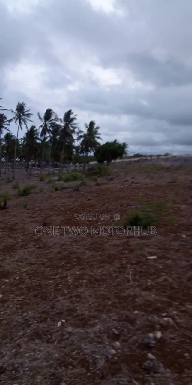 20-Acre Prime Beachfront Land for Sale – Kikambala