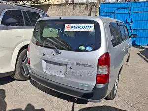 Toyota Probox 2019 Gray