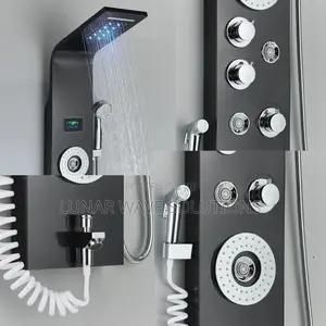 Stainless Steel Shower Panel Set Bather Thermostat Shower