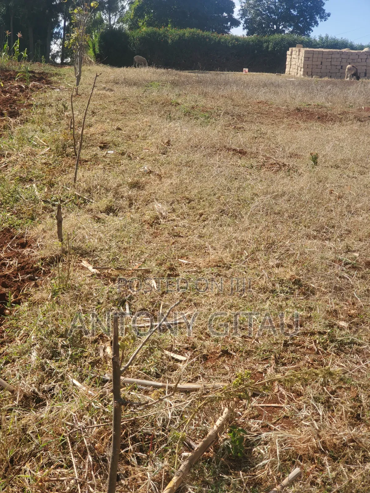 1/8 Plot a Long Kikuyu Bypass 2km to Kikuyu Town