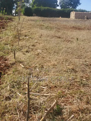 1/8 Plot a Long Kikuyu Bypass 2km to Kikuyu Town