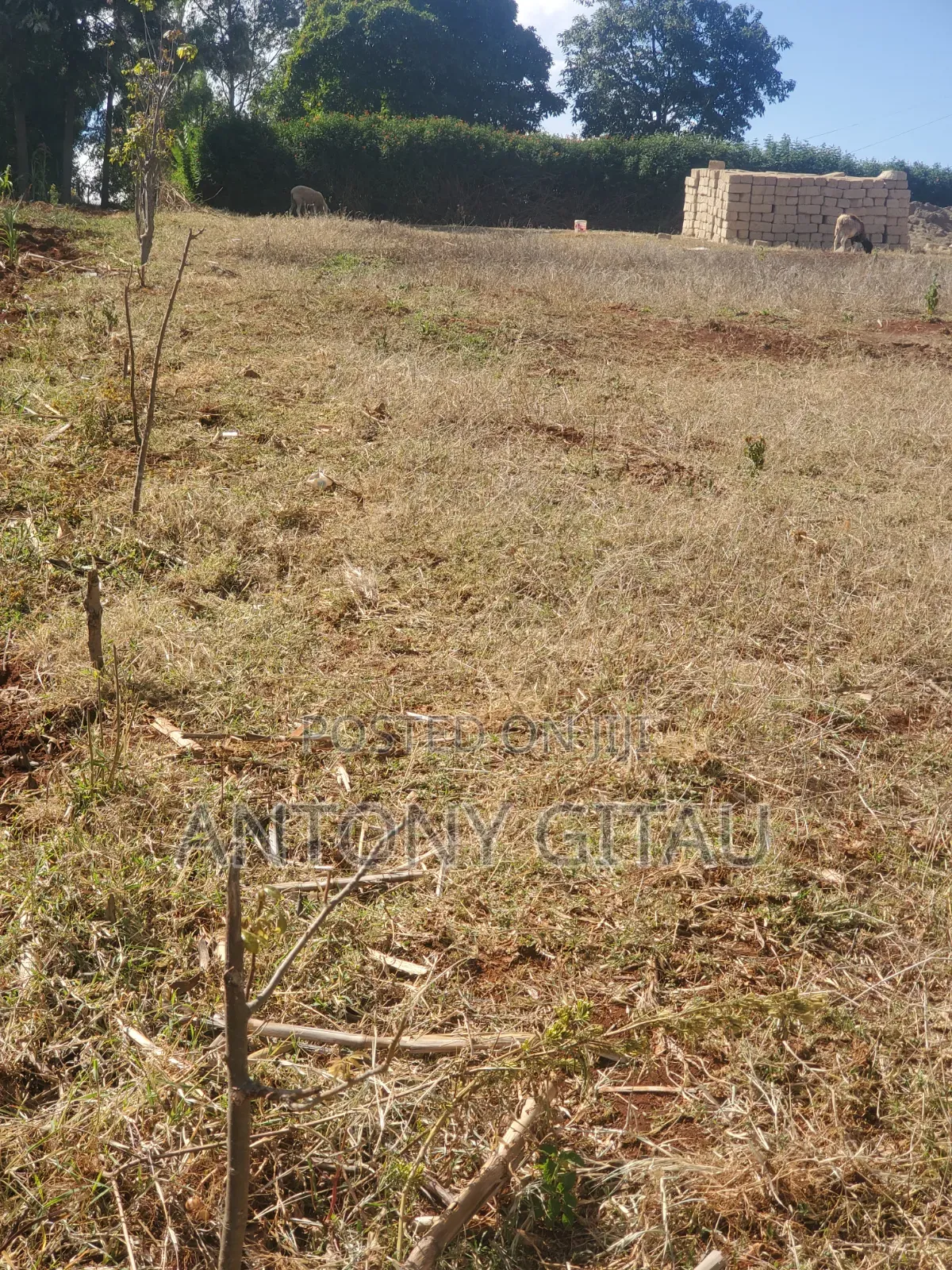 1/8 Plot a Long Kikuyu Bypass 2km to Kikuyu Town