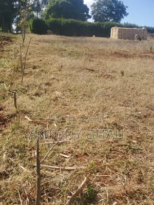 1/8 Plot a Long Kikuyu Bypass 2km to Kikuyu Town