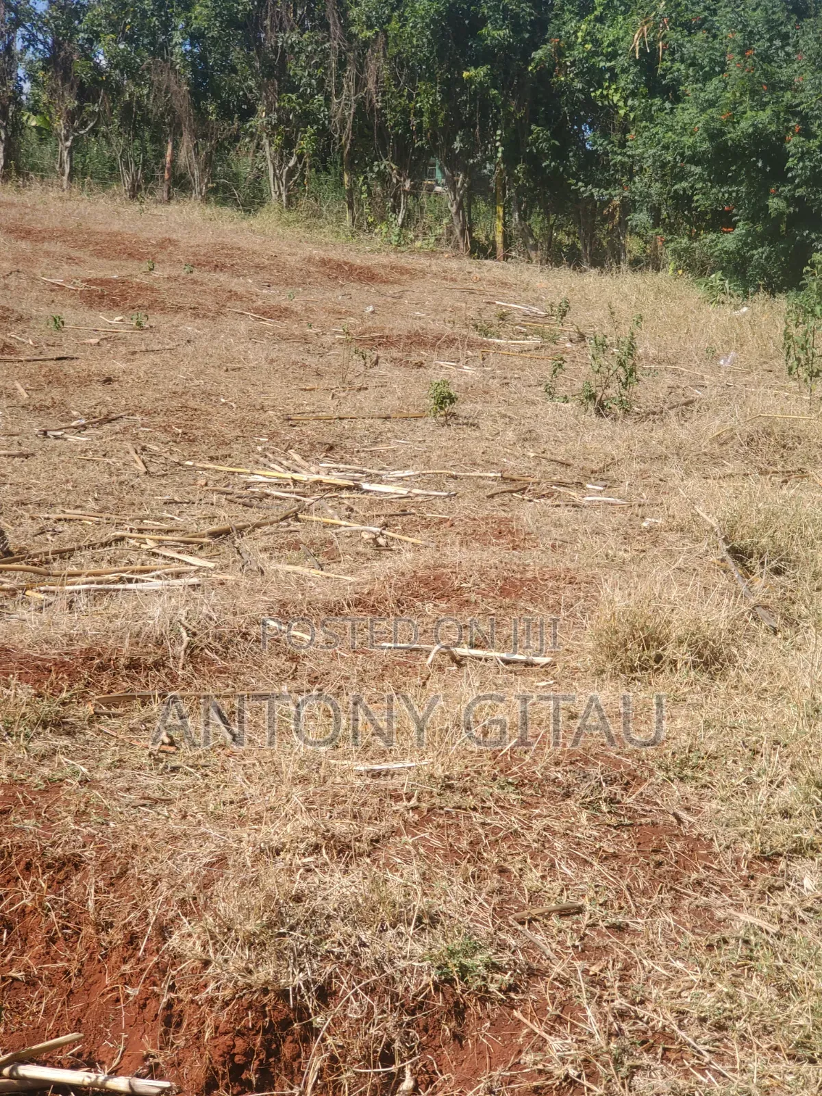 1/8 Plot a Long Kikuyu Bypass 2km to Kikuyu Town