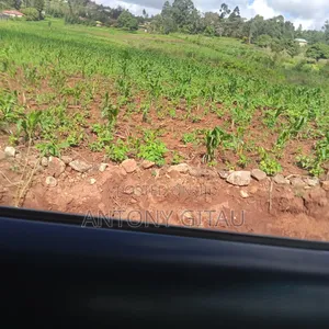 1/4 Plot at Plainsview Estates Gikambura on Sale