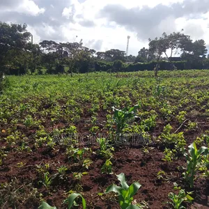 1/4 Plot at Plainsview Estates Gikambura on Sale