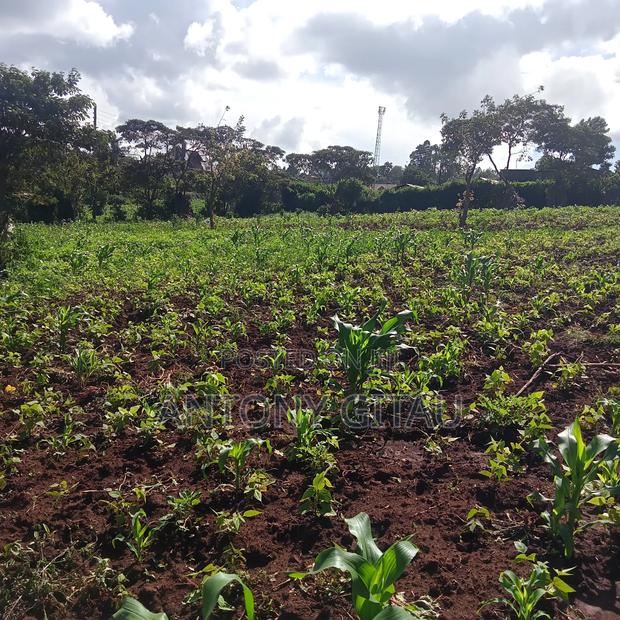 1/4 Plot at Plainsview Estates Gikambura on Sale - thumbnail 4