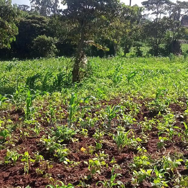 1/4 Plot at Plainsview Estates Gikambura on Sale - thumbnail 5