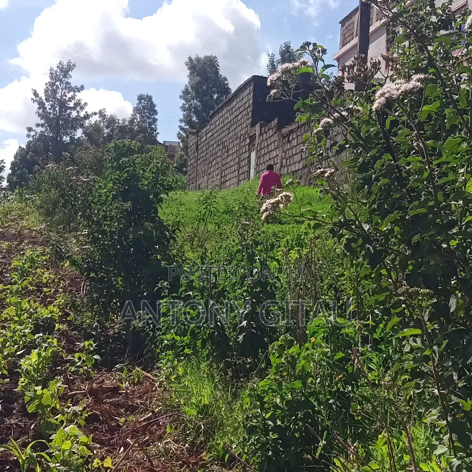 1/4 Plot at Plainsview Estates Gikambura on Sale