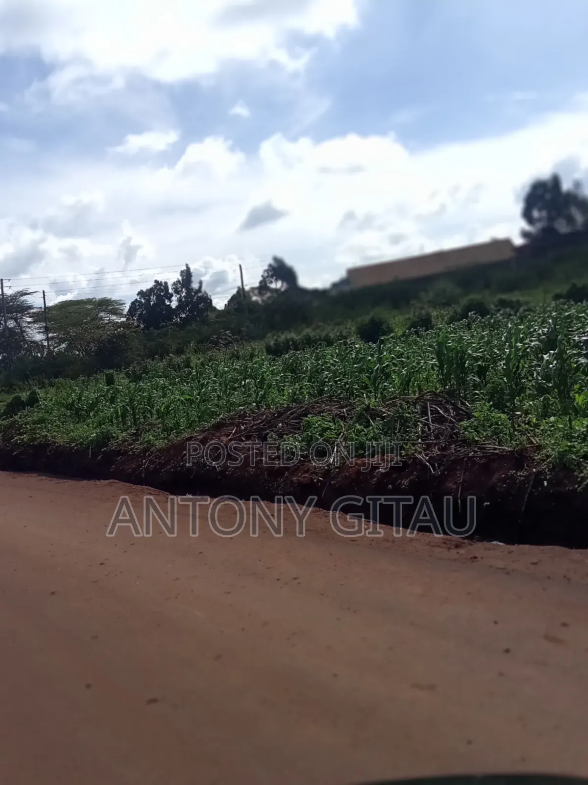 1/4 Plot at Plainsview Estates Gikambura on Sale