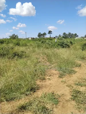 Prime Residential Investment Plots Different Sizes Prices