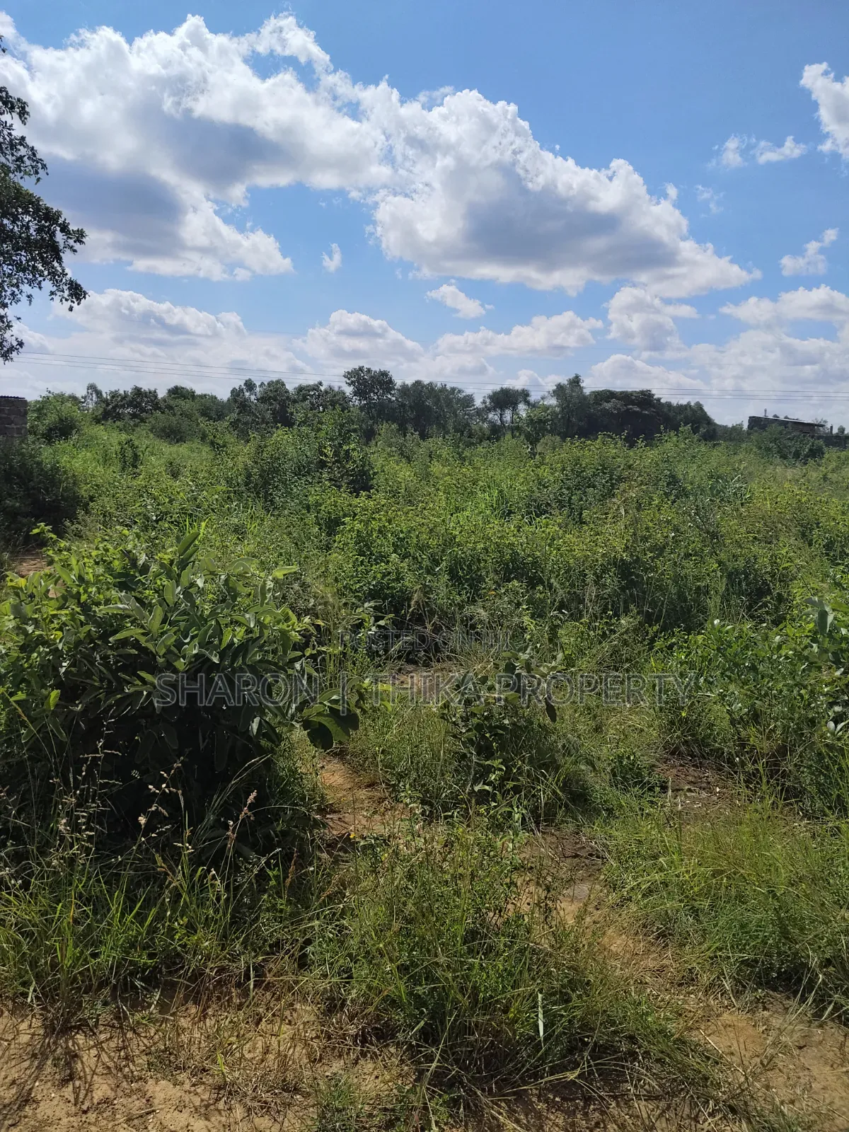 Prime Residential Investment Plots Different Sizes Prices