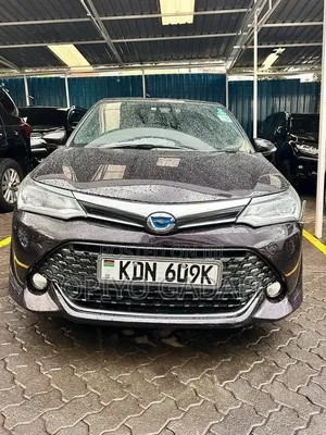Toyota Corolla Fielder 2018 Maroon