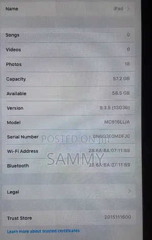 Apple iPad Air 2 64 GB Silver