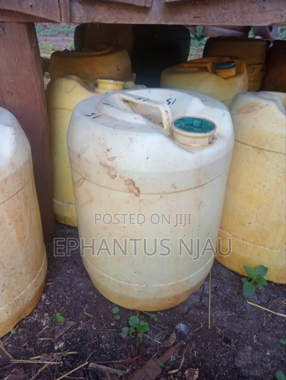 Rabbit Urine Fertiliser and Pesticide