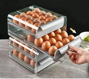 32 Pieces Egg Storage