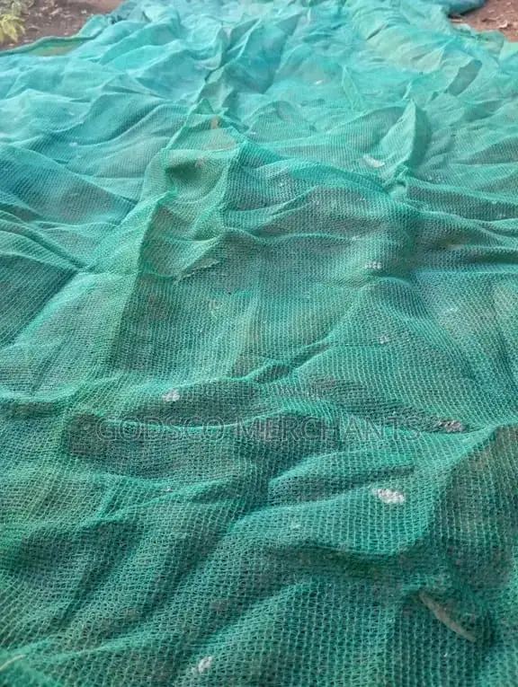Black Soldier Fly Training